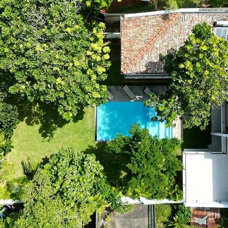 Villa Fauna 아항가마 외부 사진